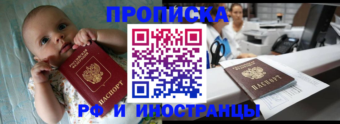 прописка поиск в Палласовке